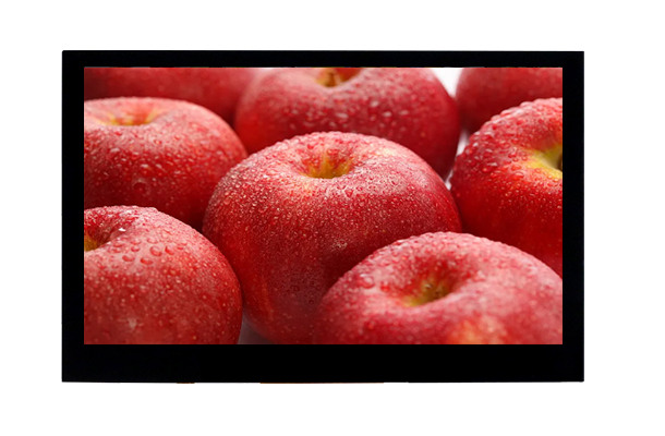 10.1寸寬溫液晶屏：價格分析與市場前景全解析