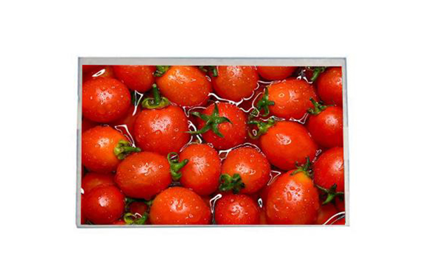 7英寸TFT液晶屏市場中的發(fā)展歷程、技術優(yōu)勢、應用領域及未來展望